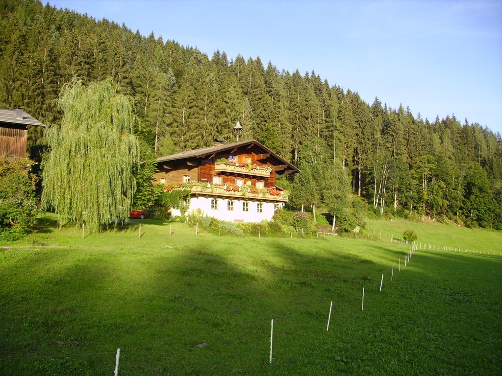 Ellmauhof Villa Pfarrwerfen Exterior photo