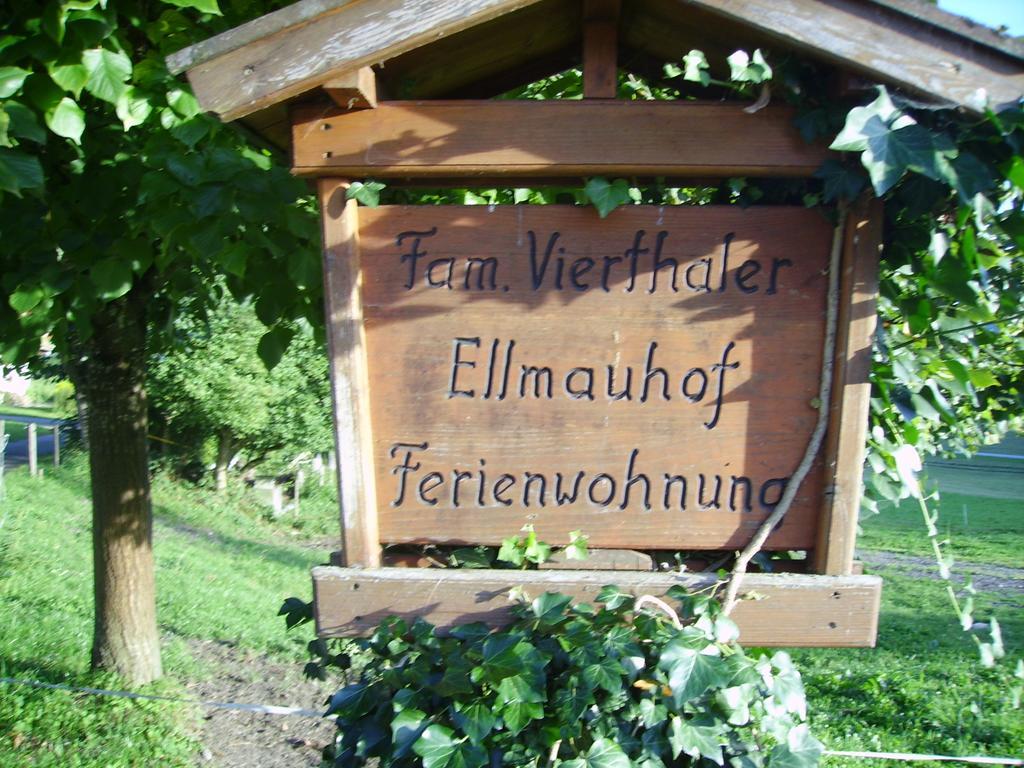 Ellmauhof Villa Pfarrwerfen Exterior photo