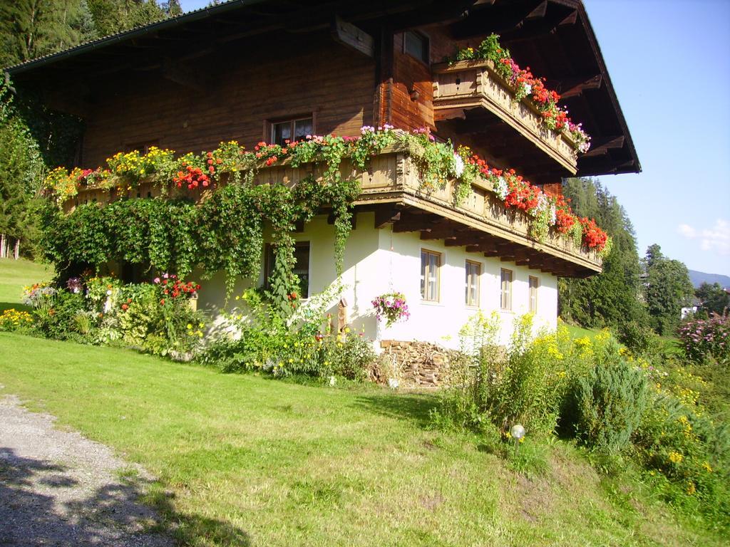 Ellmauhof Villa Pfarrwerfen Exterior photo