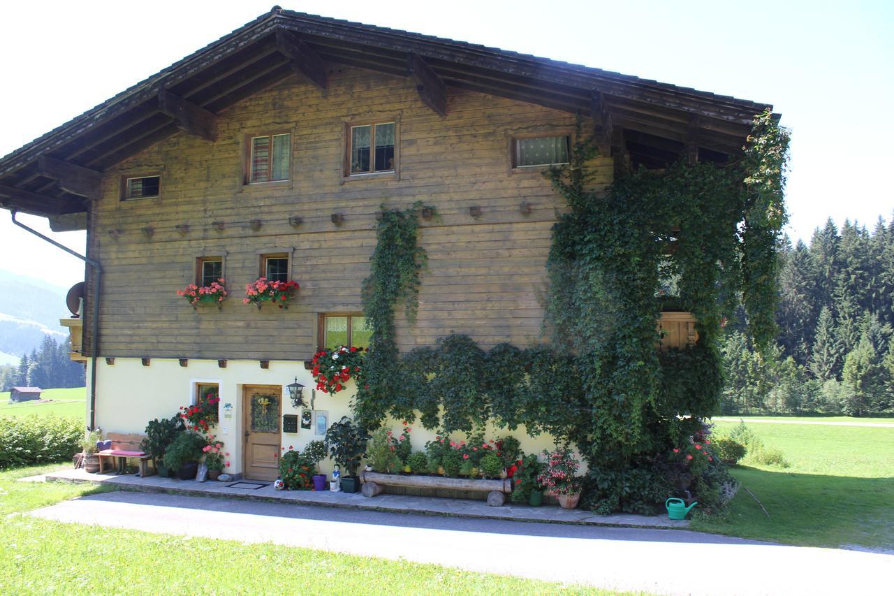 Ellmauhof Villa Pfarrwerfen Exterior photo